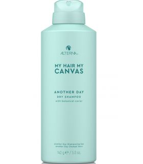 Сухой шампунь Alterna Canvas Another Day Dry Shampoo