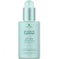 Зволожуючий спрей для об'єму Alterna Canvas Soaring High Volumizing Blowout Mist Зволожуючий спрей для об'єму Alterna Canvas Soaring High Volumizing Blowout Mist