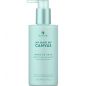 Укрепляющий шампунь Alterna Canvas More to Love Bodifying Shampoo