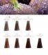 T-LAB Professional Premier Noir Innovative Colouring Cream Крем-краска для волос купить в Киеве, Украине ❤ Lavka Kabani