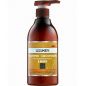 Шампунь для волос восстанавливающий облегченная формула Saryna Key Damage Repair Light Shampoo Шампунь для волос восстанавливающий облегченная формула Saryna Key Damage Repair Light Shampoo