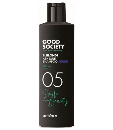 Оттеночный шампунь с пепельно-синей пигментацией Artego Good Society 05 B_Blonde Ash Blue Shampoo