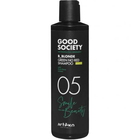 Оттеночный шампунь со светло-зеленой пигментацией Artego Good Society 05 B_Blonde Green No Red Shampoo