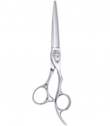 Joewell Coaxis CAX-580 | CAX-630 Ножницы купить в Киеве, Украине в Lavka Kabani