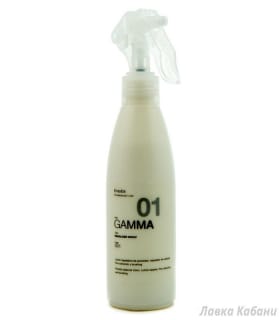 Спрей для выравнивания структуры волос ERAYBA G01 Equallzer Spray 200 мл