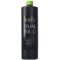 Пінка для волосся Envy Dual Fix 12 Пінка для волосся Envy Dual Fix 12
