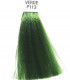 Helen Seward BBColor Pigma Green купити в Києві