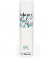 Balance Shampoo Artego шампунь для жирного волосся