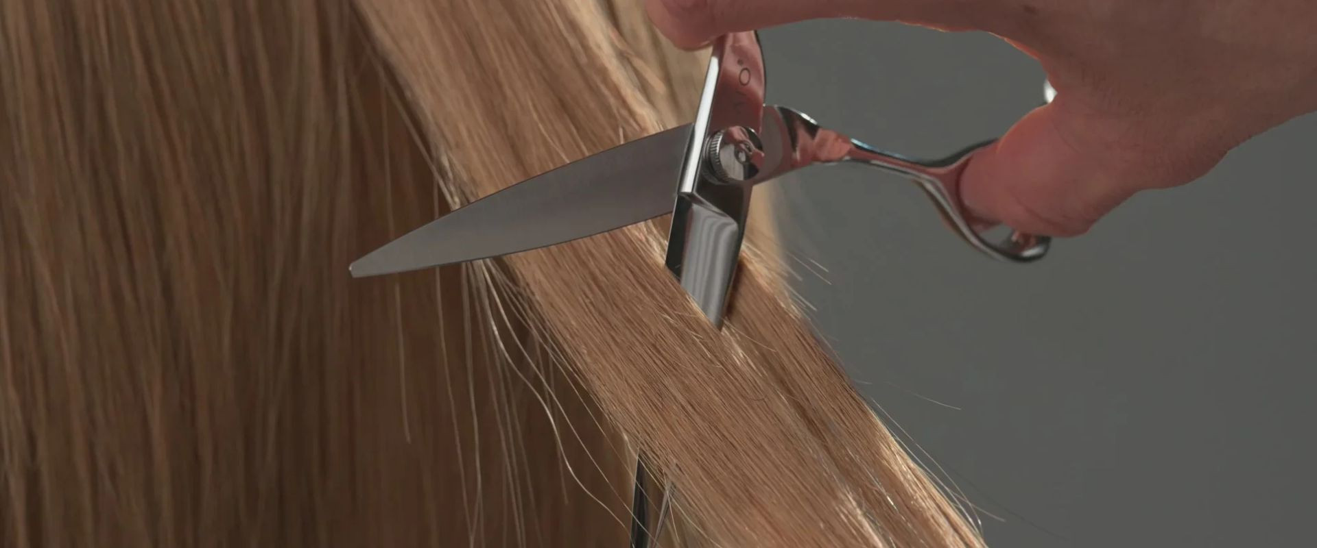 Ножиці для слайсингу: техніка, вимоги та ідеальний інструмент