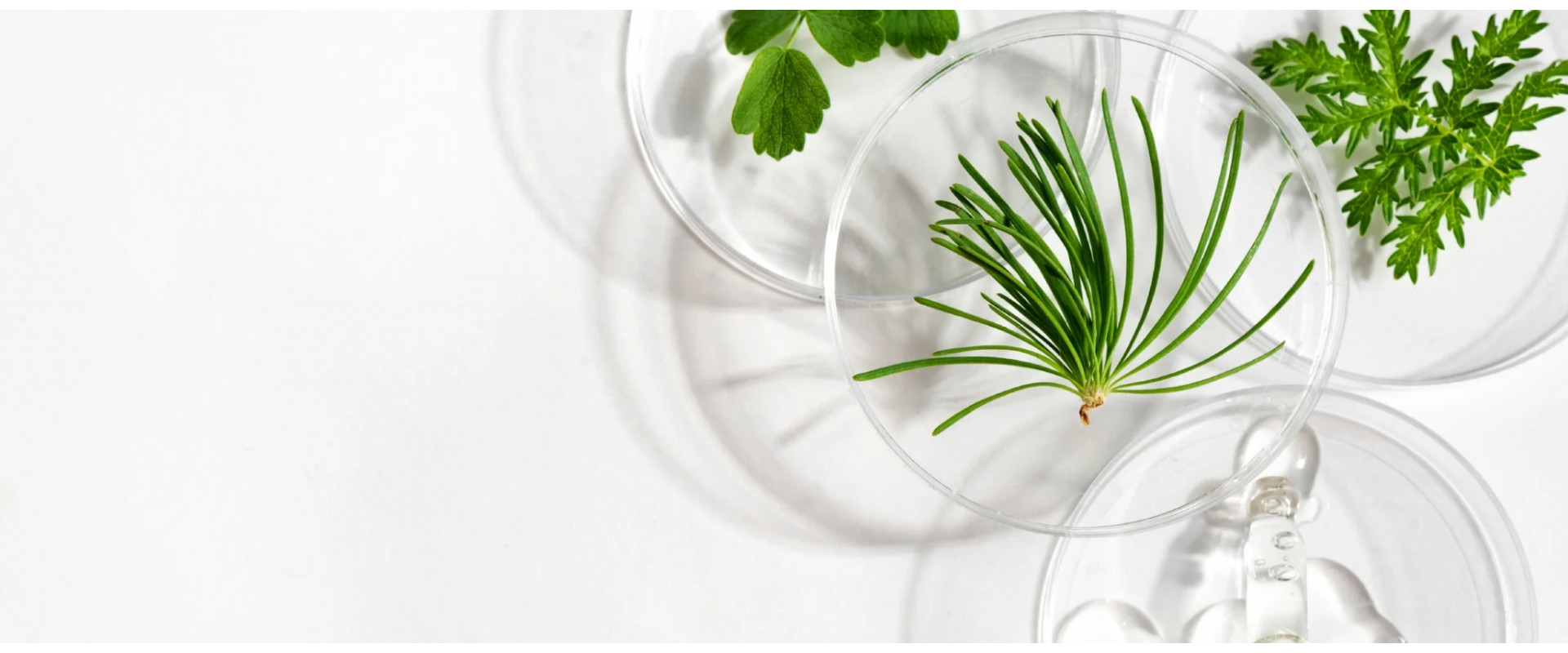 Capixyl - что это такое