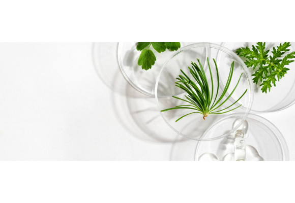 Capixyl - что это такое